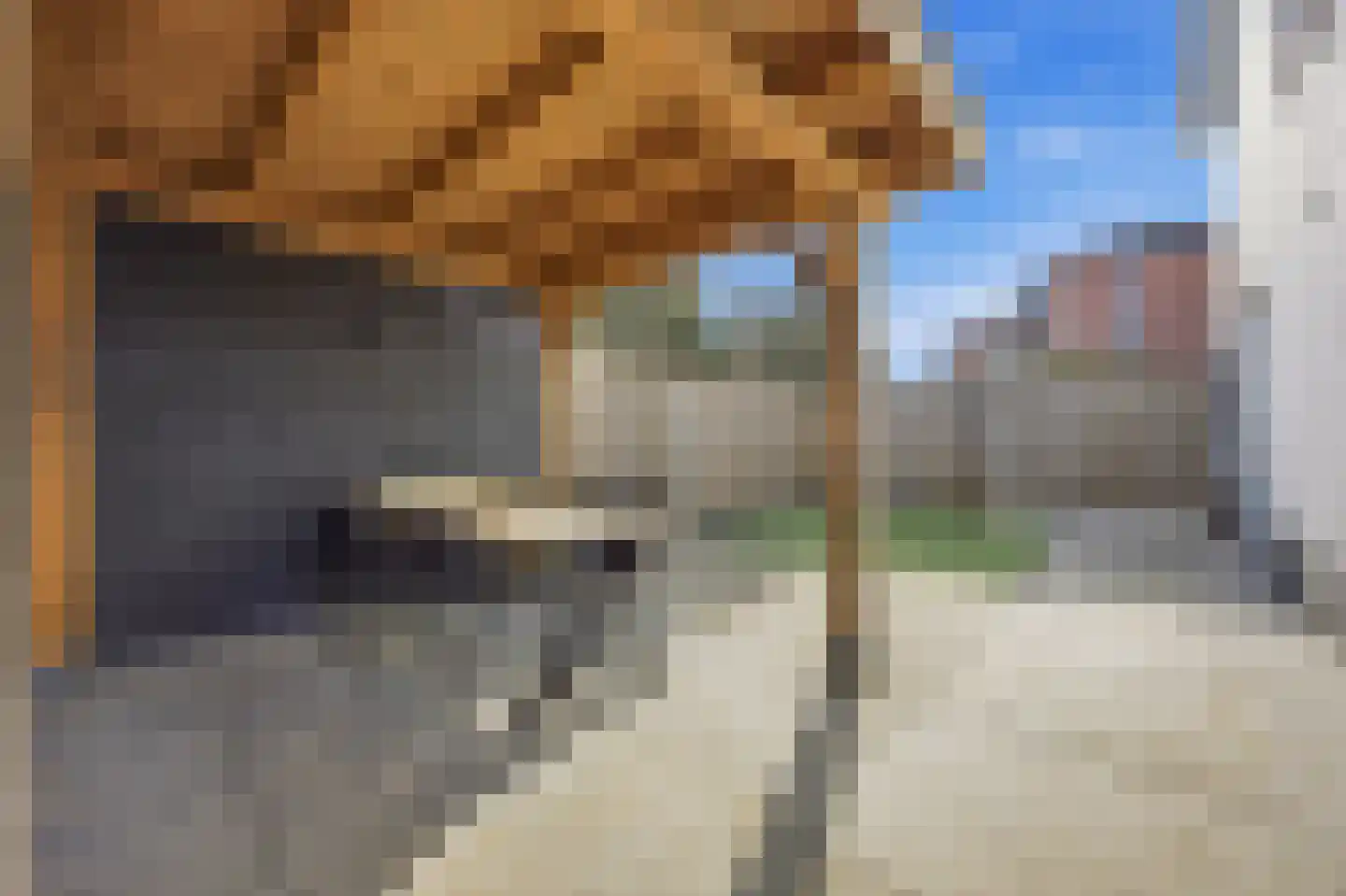 Hof van Spinoet 15 Raamsdonksveer thumbnail 48