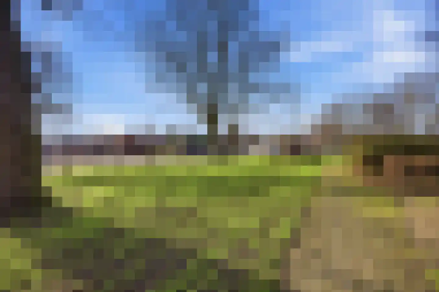 Hof van Spinoet 15 Raamsdonksveer thumbnail 52