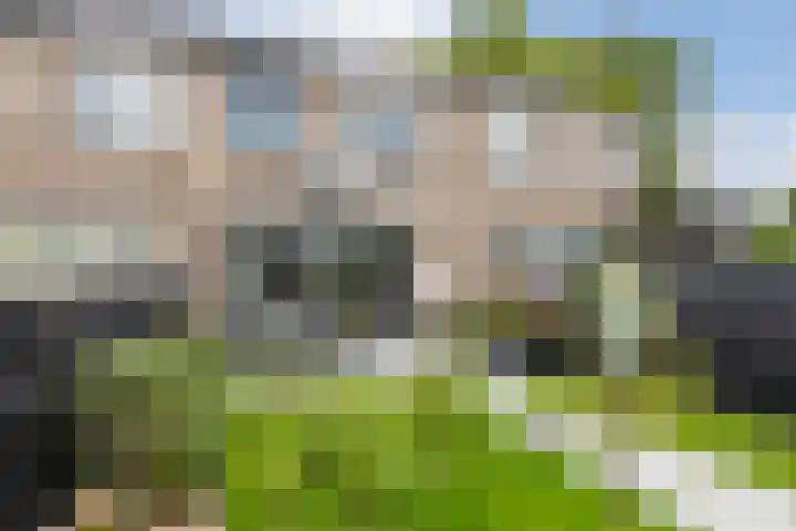 Hof van Sulzbach 8 Bergen op Zoom thumbnail 13