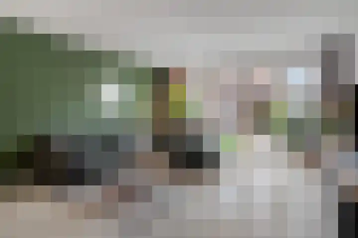 Hof van Tongerloo 20 Riel thumbnail 15