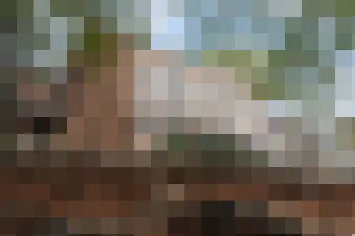 Hof van Tongerloo 20 Riel thumbnail 40