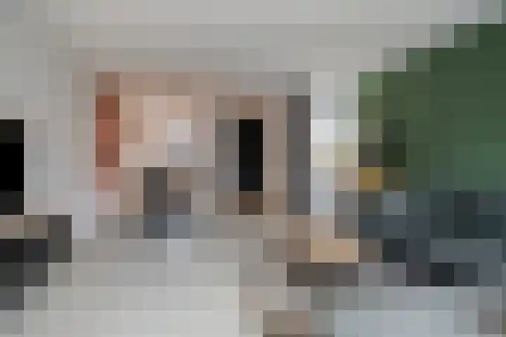 Hof van Tongerloo 20 Riel thumbnail 5