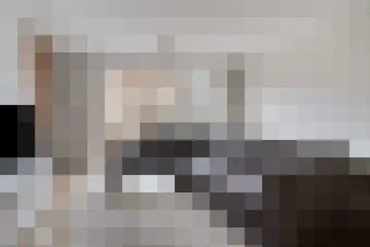 Hof van Tongerloo 28 Riel thumbnail 11