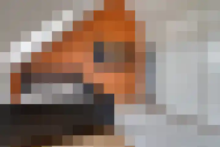 Hof van Tongerloo 28 Riel thumbnail 25