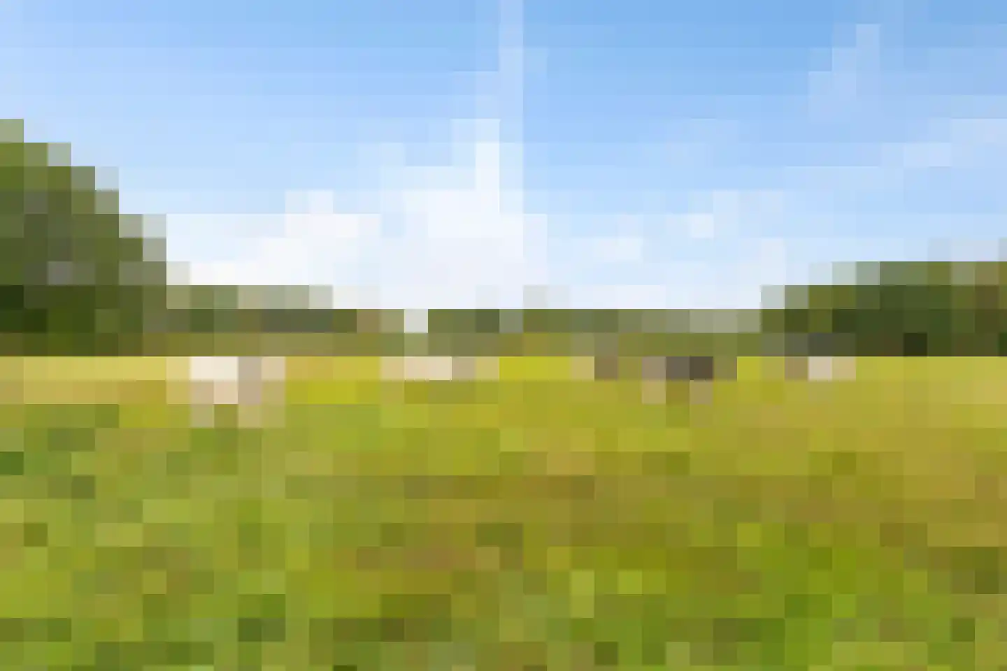 Hof van Tongerloo 28 Riel thumbnail 38