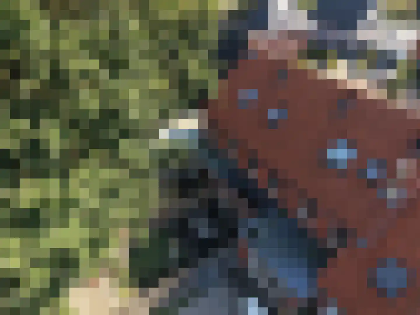Hof van Tongerloo 32 Riel thumbnail 36