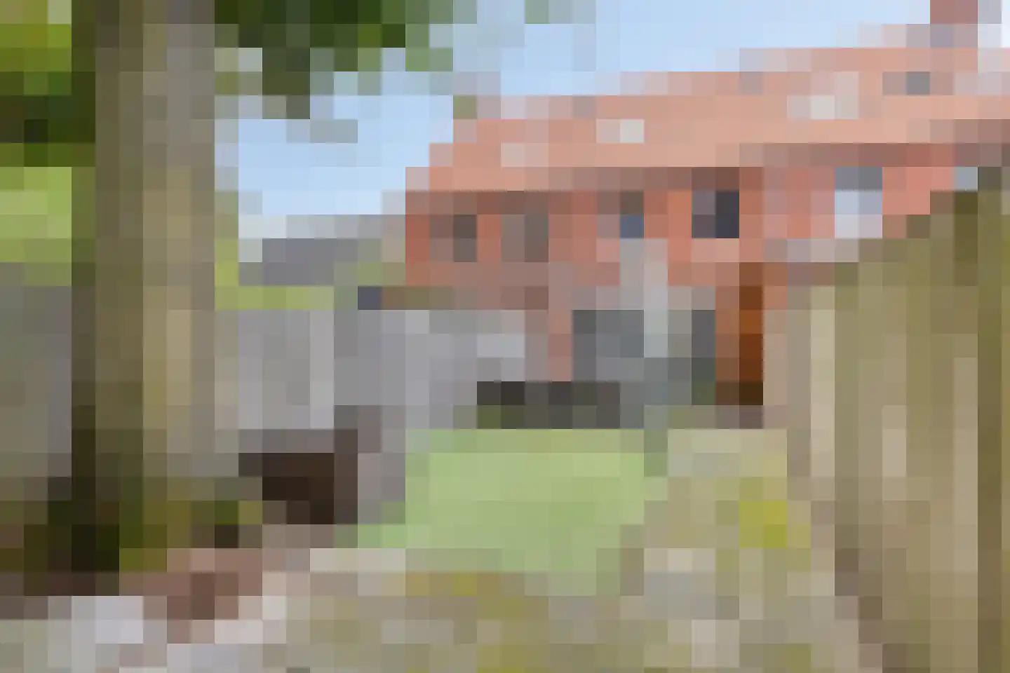 Hof van Tongerloo 32 Riel thumbnail 8