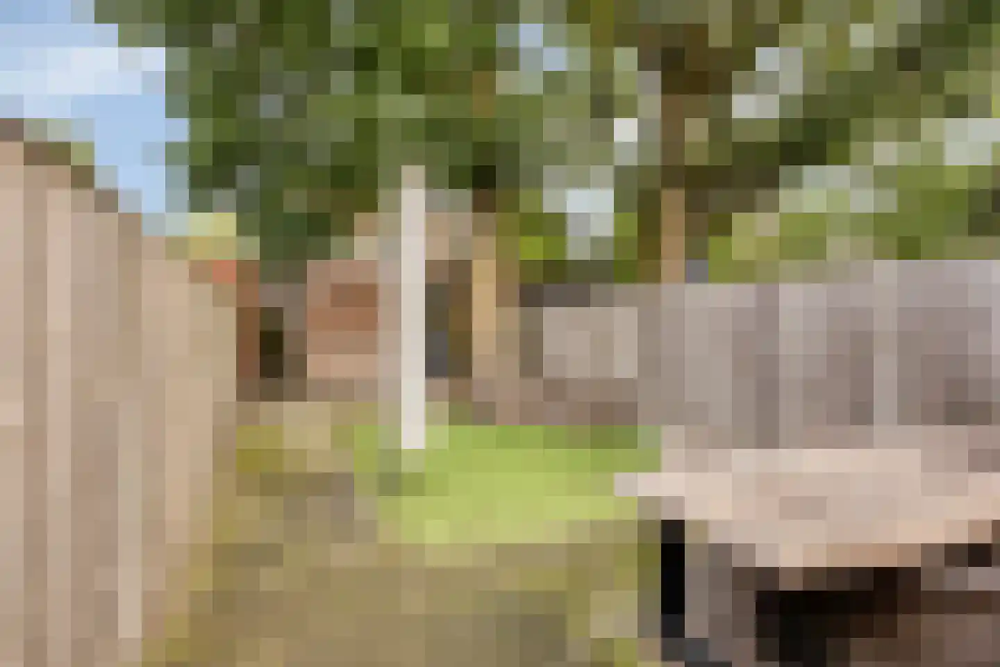 Hof van Tongerloo 32 Riel thumbnail 9