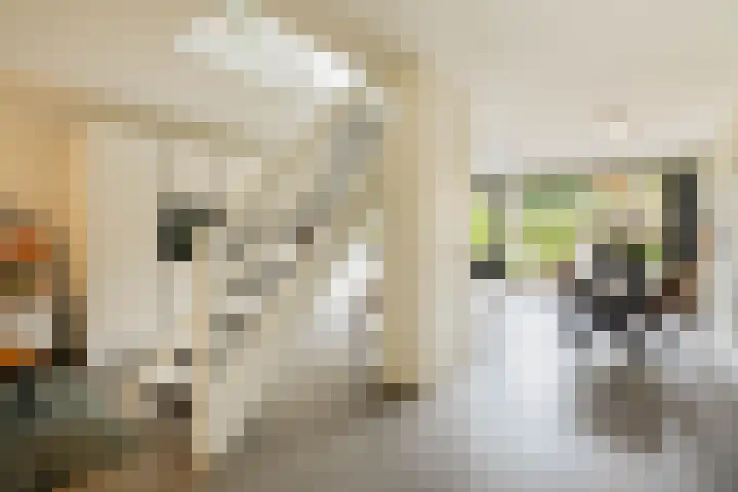 Hof van Versailles 33 Amsterdam thumbnail 4