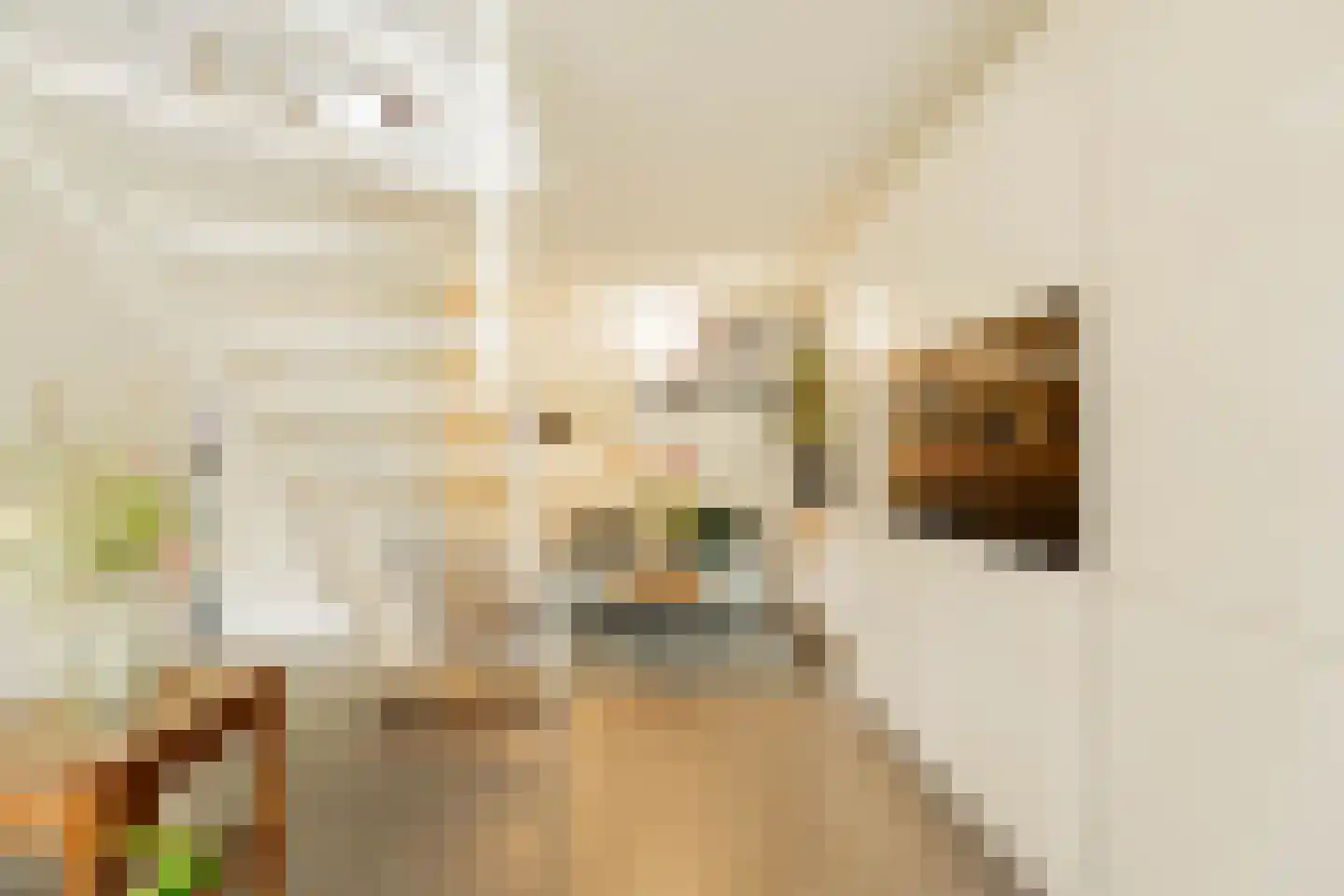 Hof van Versailles 33 Amsterdam thumbnail 7