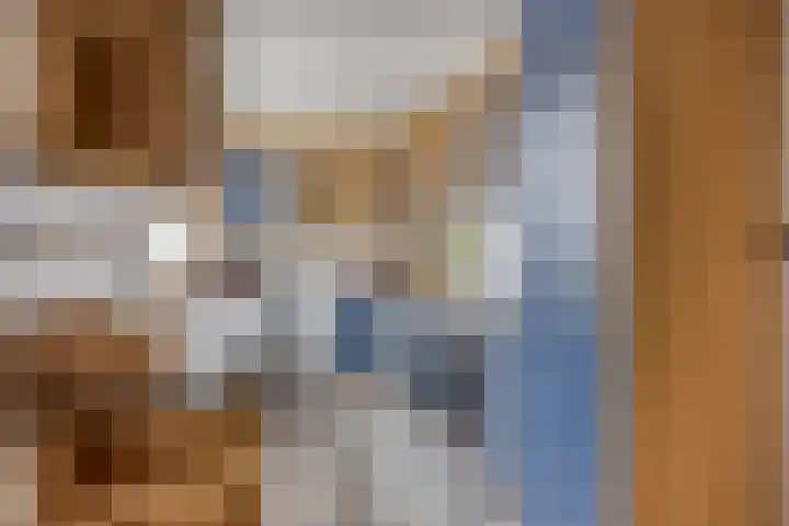 Hof van Voorne 1 Bergen op Zoom thumbnail 11