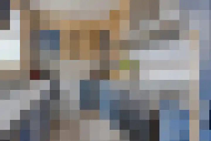 Hof van Voorne 1 Bergen op Zoom thumbnail 12