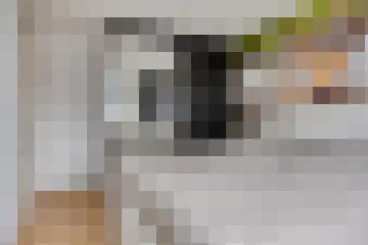 Hof van Voorne 1 Bergen op Zoom thumbnail 16