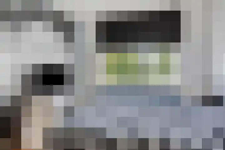 Hof van Voorne 1 Bergen op Zoom thumbnail 20