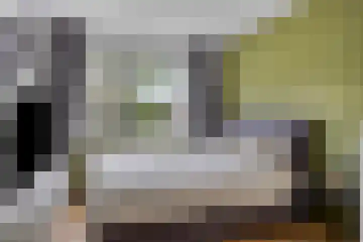 Hof van Voorne 1 Bergen op Zoom thumbnail 22