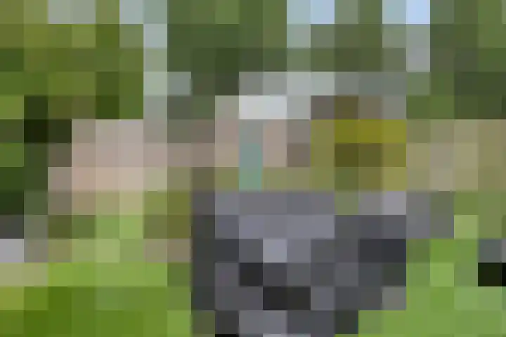 Hof van Voorne 1 Bergen op Zoom thumbnail 29