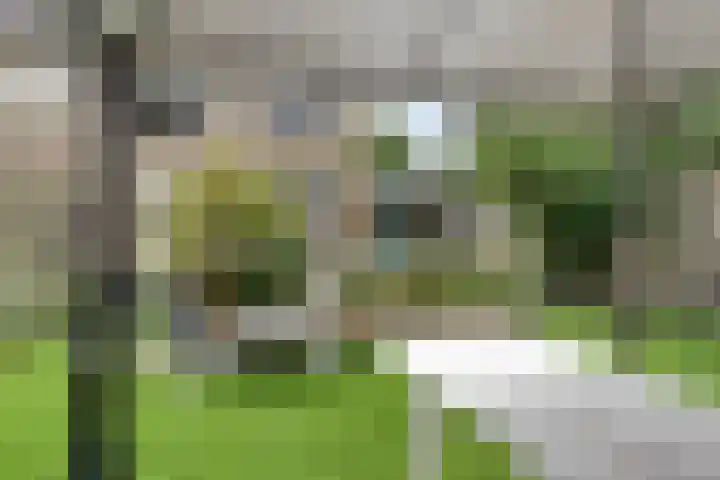 Hof van Voorne 1 Bergen op Zoom thumbnail 30