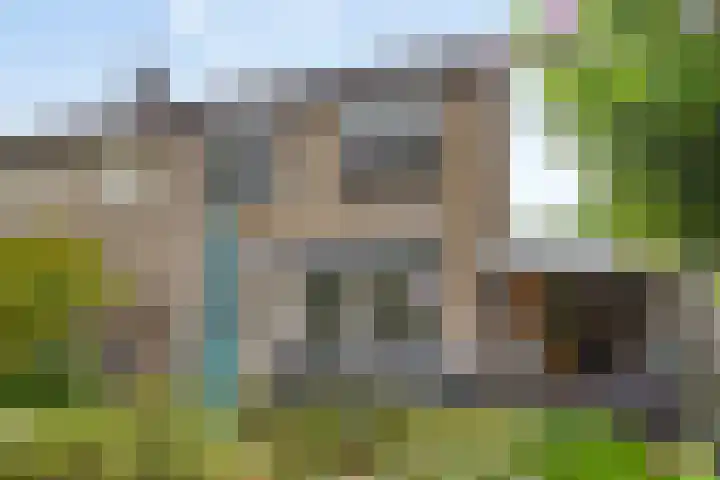 Hof van Voorne 1 Bergen op Zoom thumbnail 31