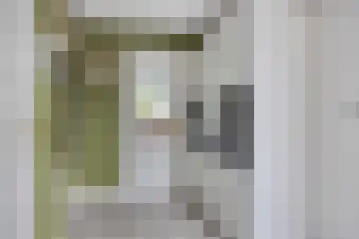 Hof van Voorne 1 Bergen op Zoom thumbnail 5