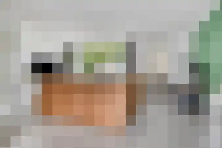 Hof van Voorne 1 Bergen op Zoom thumbnail 7