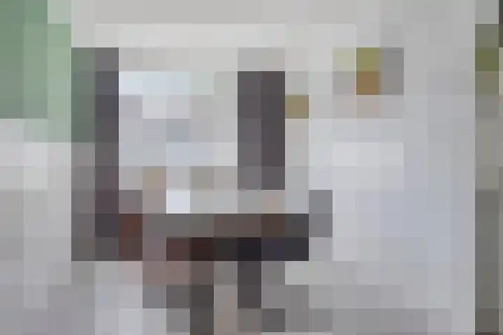 Hof van Voorne 1 Bergen op Zoom thumbnail 9