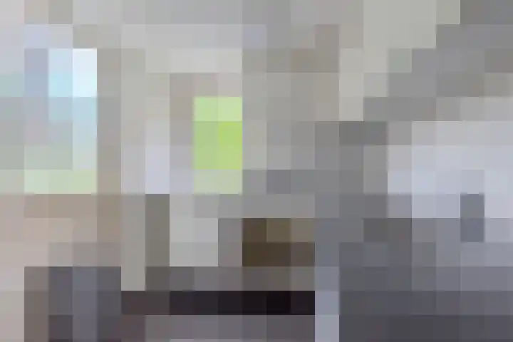 Hof van Voorne 19 Bergen op Zoom thumbnail 17
