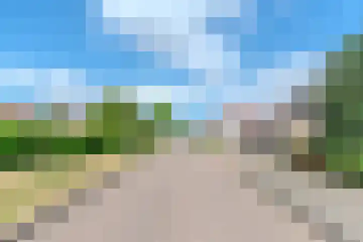 Hof van Voorne 19 Bergen op Zoom thumbnail 37
