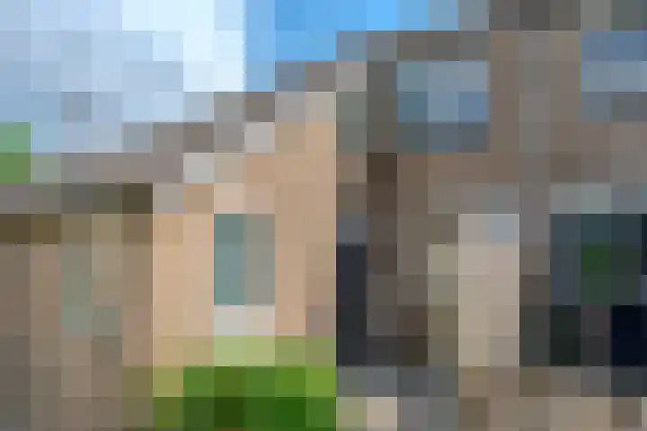 Hof van Voorne 19 Bergen op Zoom thumbnail 42