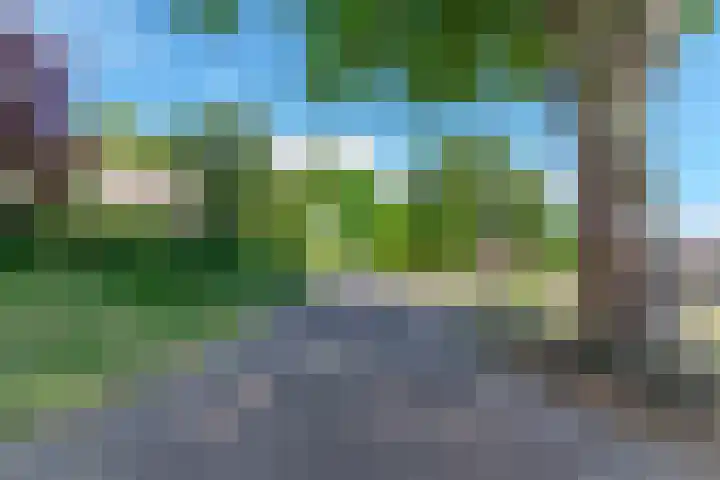 Hof van Voorne 19 Bergen op Zoom thumbnail 6