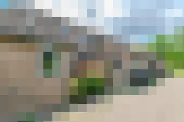 Hof van Voorne 19 Bergen op Zoom thumbnail 7