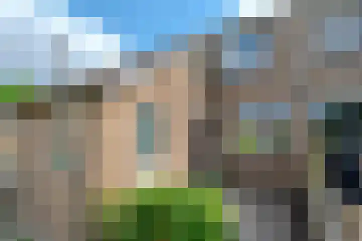 Hof van Voorne 19 Bergen op Zoom thumbnail 8