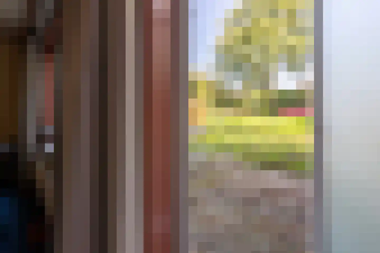 Hof van Voorne 3 Bergen op Zoom thumbnail 35
