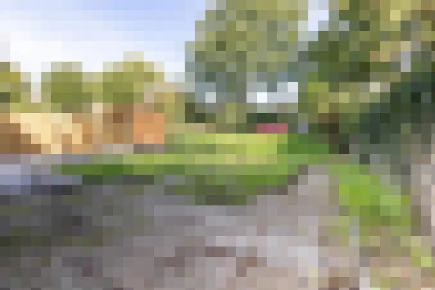 Hof van Voorne 3 Bergen op Zoom thumbnail 36