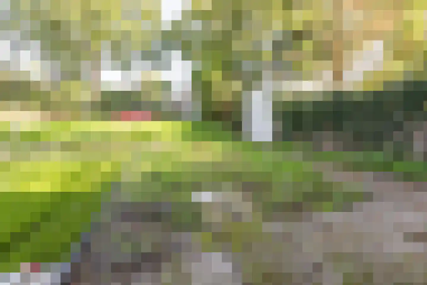 Hof van Voorne 3 Bergen op Zoom thumbnail 37