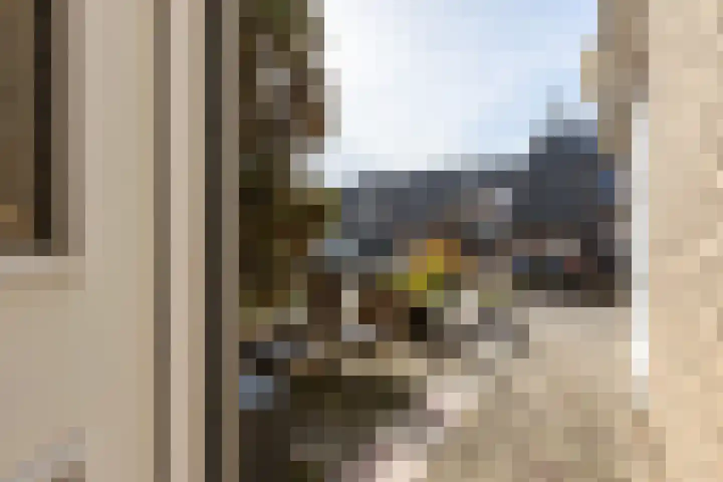 Hof van Voorne 3 Bergen op Zoom thumbnail 39