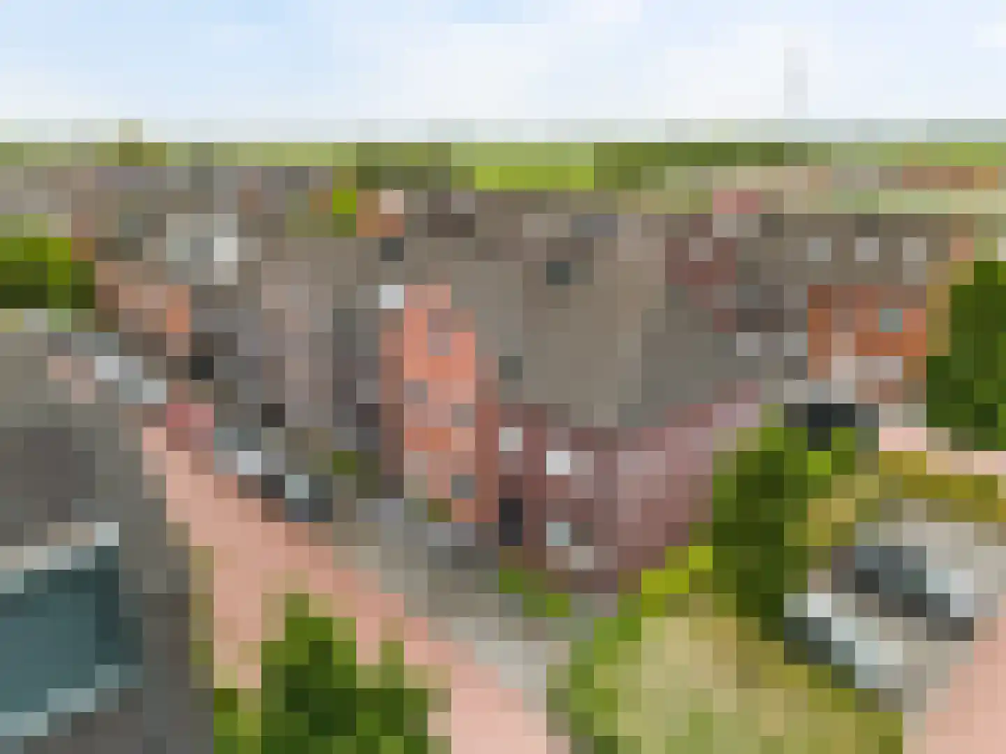 Hof van Voorvliet 16 Linschoten thumbnail 34