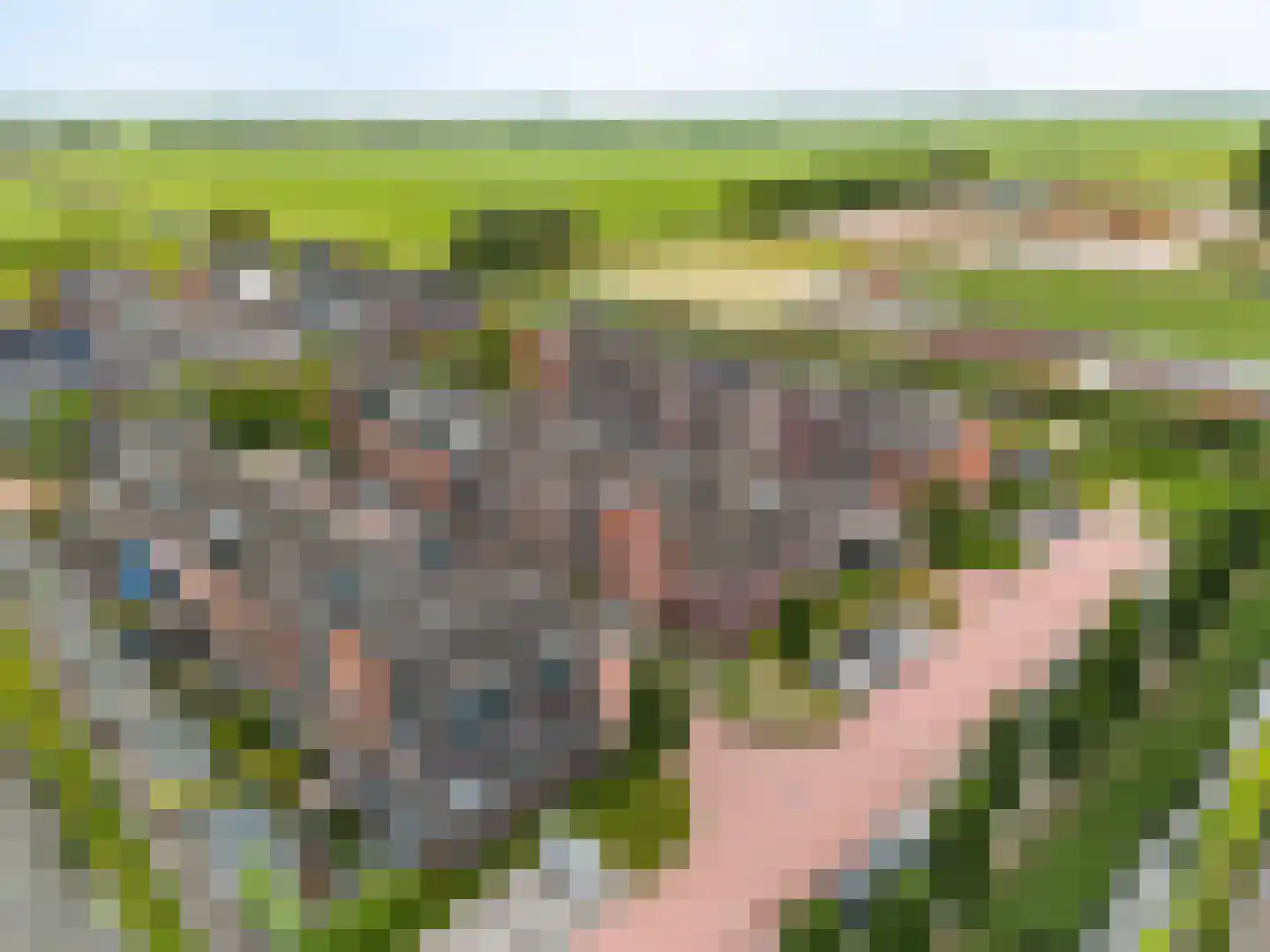 Hof van Voorvliet 16 Linschoten thumbnail 35
