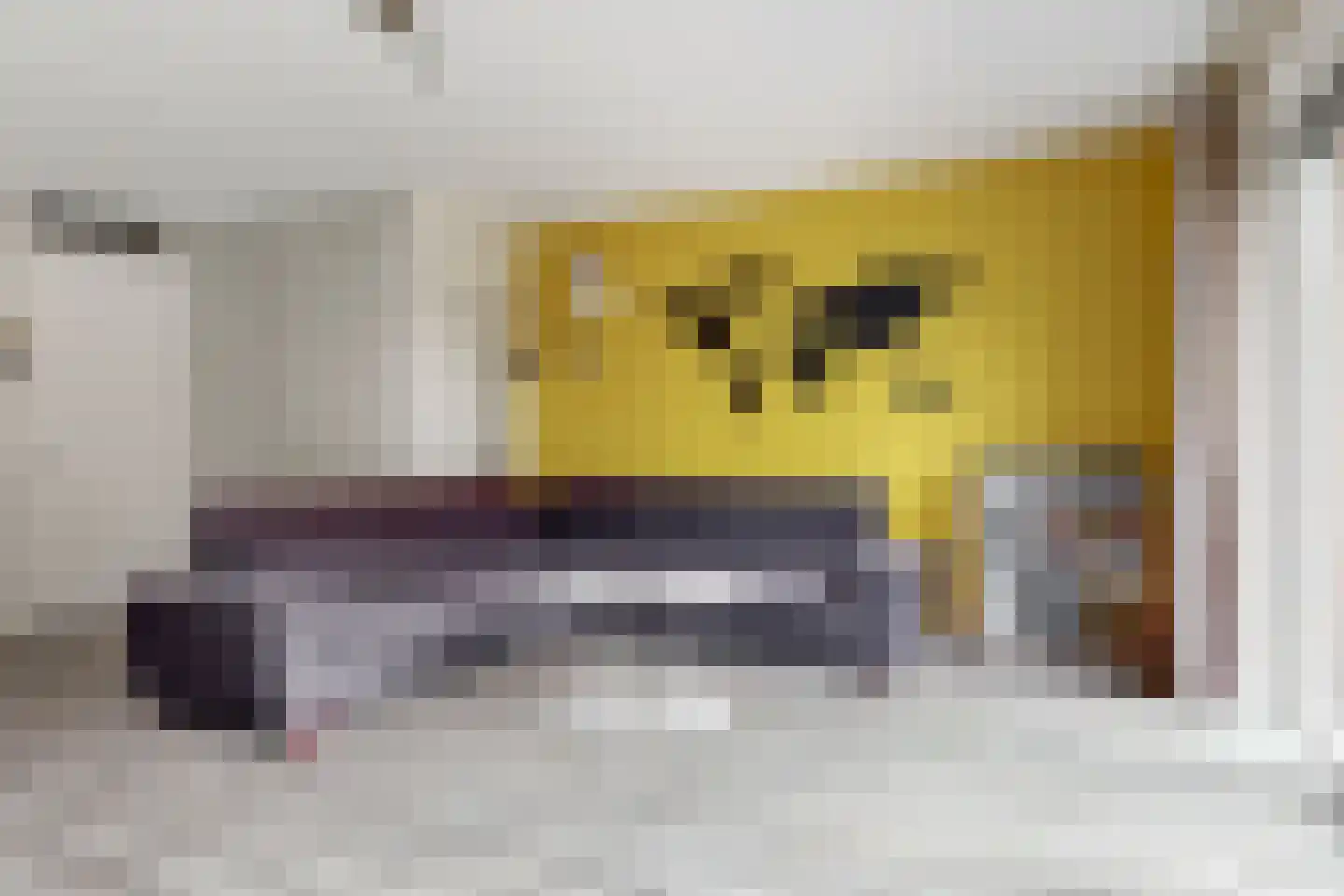 Hof van Voorvliet 16 Linschoten thumbnail 6
