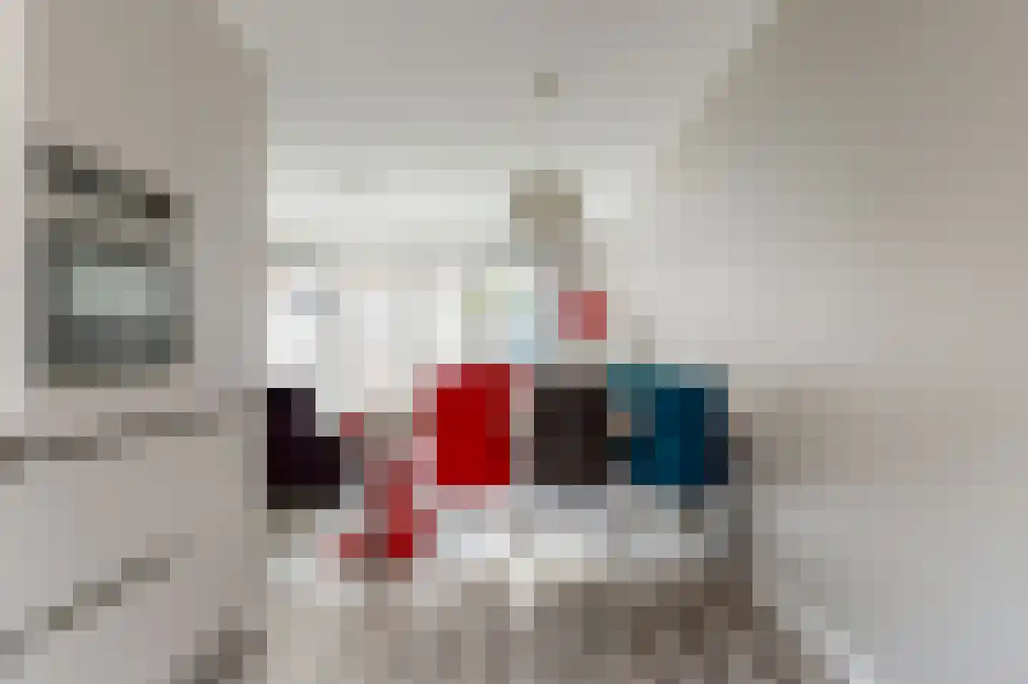 Hof van Voorvliet 16 Linschoten thumbnail 9