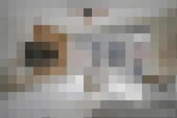 Hof van Voorvliet 24 Linschoten thumbnail 13