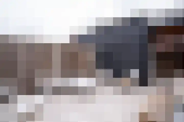Hof van Voorvliet 24 Linschoten thumbnail 14