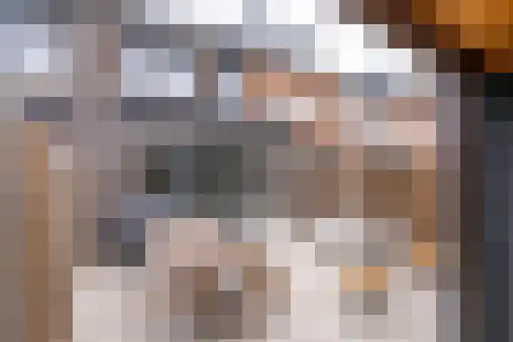 Hof van Voorvliet 24 Linschoten thumbnail 16