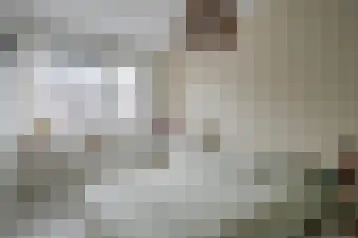 Hof van Voorvliet 24 Linschoten thumbnail 18