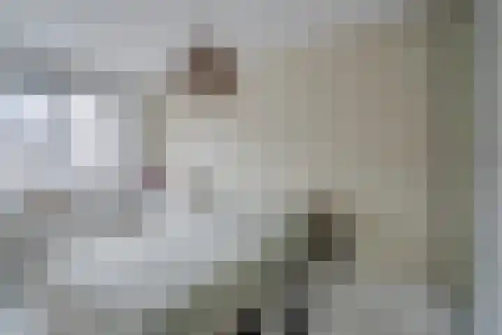 Hof van Voorvliet 24 Linschoten thumbnail 19