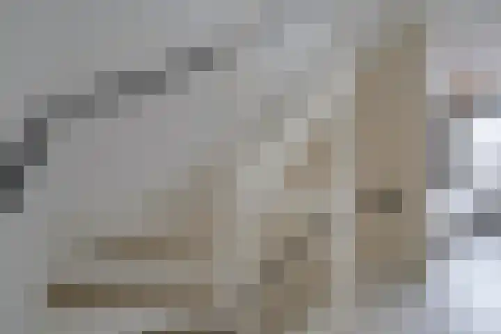 Hof van Voorvliet 24 Linschoten thumbnail 27