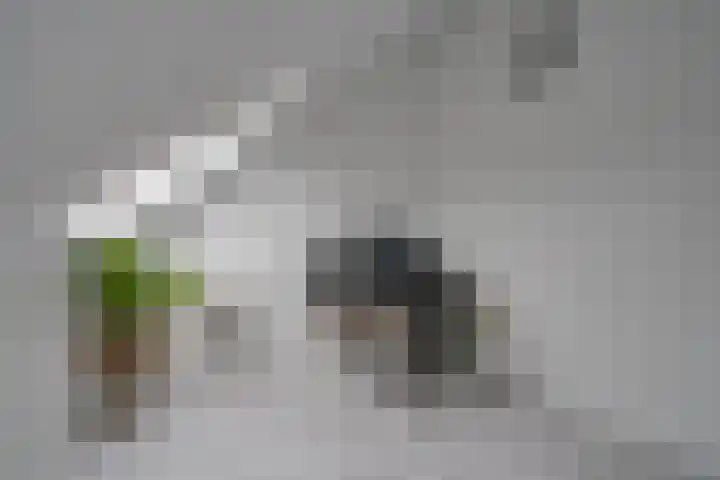 Hof van Voorvliet 24 Linschoten thumbnail 30