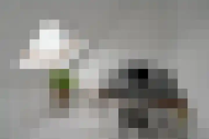 Hof van Voorvliet 24 Linschoten thumbnail 31
