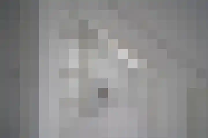 Hof van Voorvliet 24 Linschoten thumbnail 32