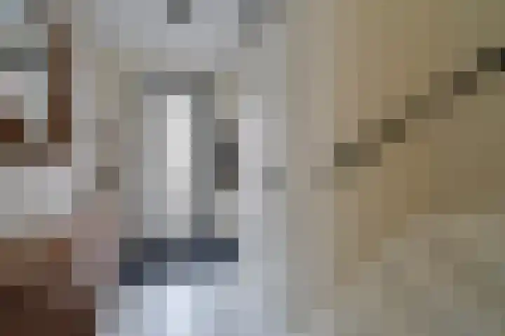 Hof van Voorvliet 24 Linschoten thumbnail 33