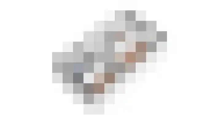 Hof van Voorvliet 24 Linschoten thumbnail 42